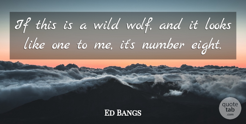 Ed Bangs Quote About Looks, Number, Wild: If This Is A Wild...