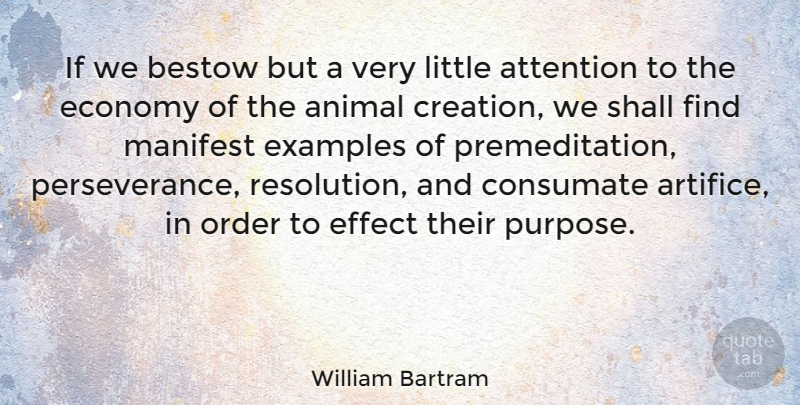 William Bartram Quote About Perseverance, Animal, Order: If We Bestow But A...