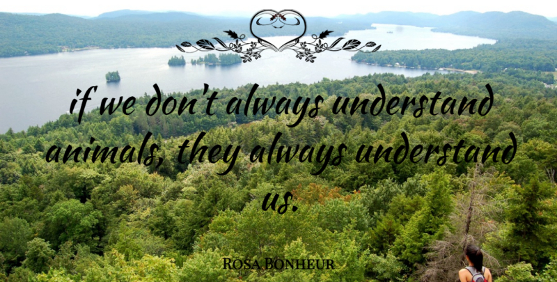 Rosa Bonheur Quote About Animal, Ifs: If We Dont Always Understand...