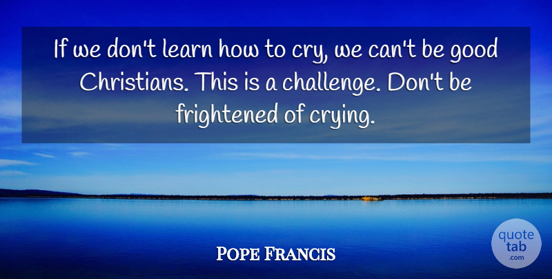 Pope Francis Quote About Christian, Challenges, Cry: If We Dont Learn How...