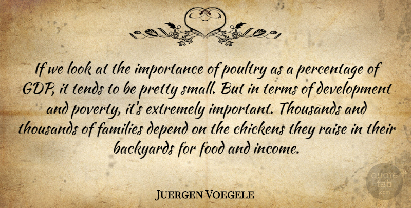 Juergen Voegele Quote About Chickens, Depend, Extremely, Families, Food: If We Look At The...