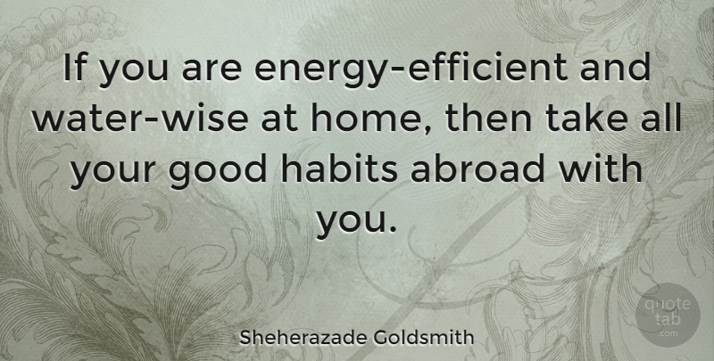 Sheherazade Goldsmith Quote About Wise, Home, Water: If You Are Energy Efficient...