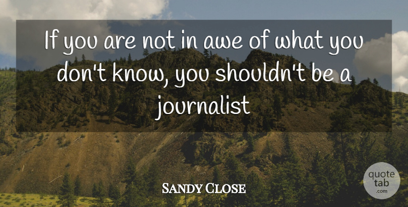 Sandy Close Quote About Awe, Journalist: If You Are Not In...