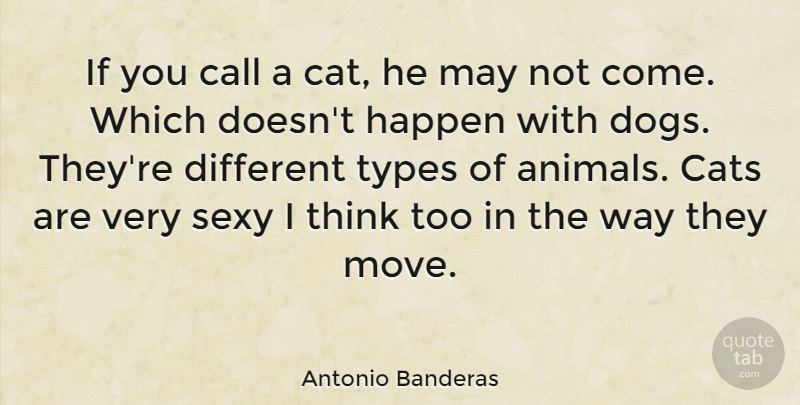 Antonio Banderas Quote About Sexy, Dog, Moving: If You Call A Cat...