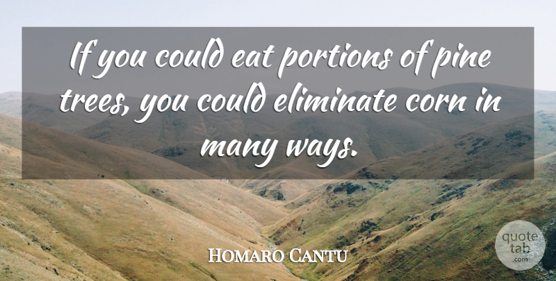 Homaro Cantu Quote About Tree, Corn, Way: If You Could Eat Portions...