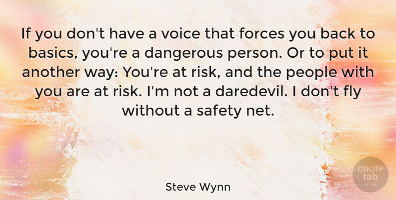 Steve Wynn Quote About Dangerous, Fly, Forces, People: If You Dont Have A...