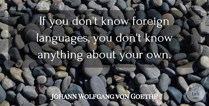 Johann Wolfgang von Goethe Quote About Language, Foreign Language, Ifs: If You Dont Know Foreign...