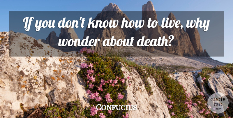 Confucius Quote About Wonder, Knows, Ifs: If You Dont Know How...