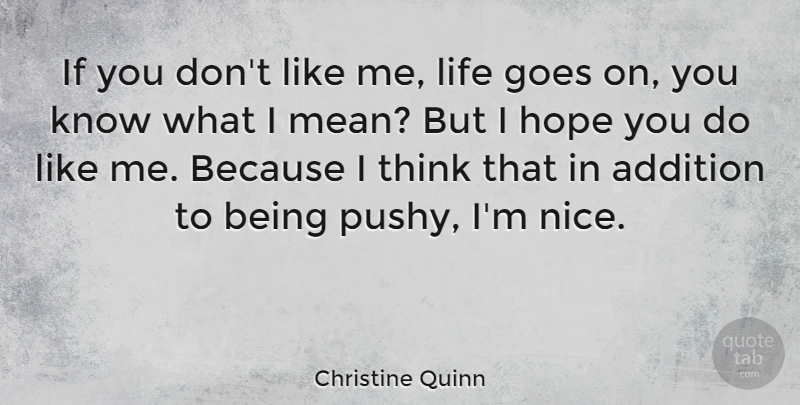 Christine Quinn Quote About Nice, Mean, Thinking: If You Dont Like Me...