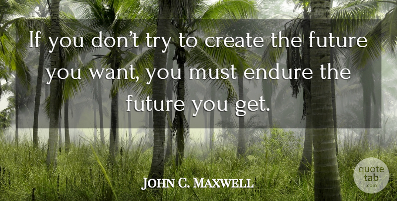 John C. Maxwell Quote About Trying, Want, Endure: If You Dont Try To...