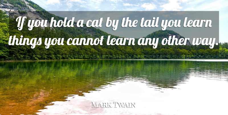 Mark Twain Quote About Nature, Inspiration, Cat: If You Hold A Cat...