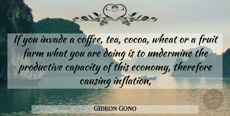 Gideon Gono Quote About Capacity, Causing, Coffee, Farm, Fruit: If You Invade A Coffee...