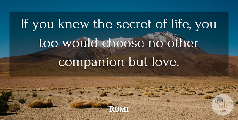 Rumi Quote About Spiritual, Wisdom, Secret: If You Knew The Secret...