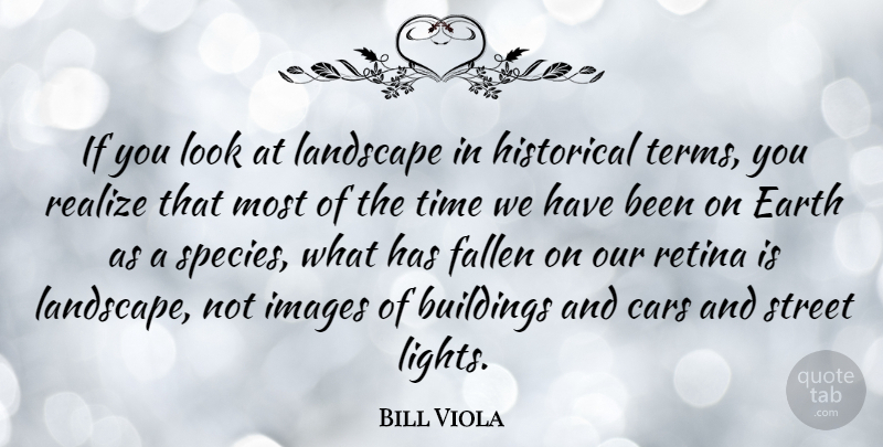 Bill Viola Quote About Buildings, Cars, Earth, Fallen, Historical: If You Look At Landscape...