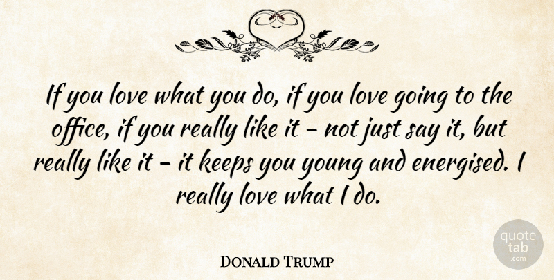 Donald Trump Quote About Love: If You Love What You...