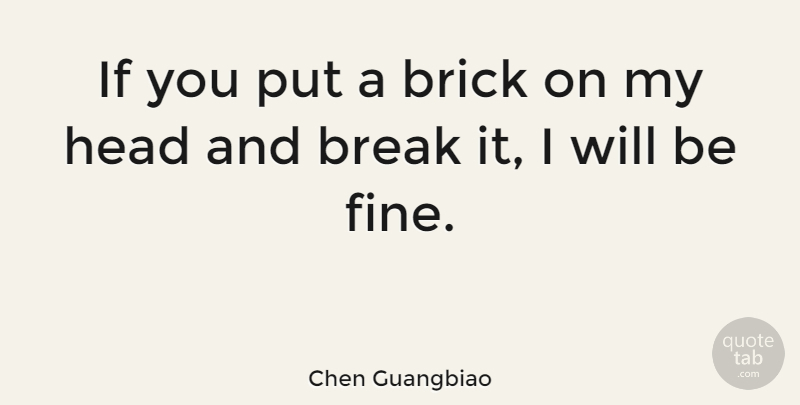 Chen Guangbiao Quote About undefined: If You Put A Brick...