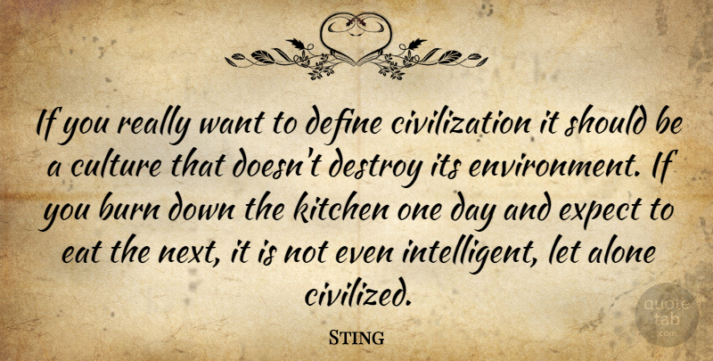 Sting Quote About Intelligent, Civilization, Kitchen: If You Really Want To...