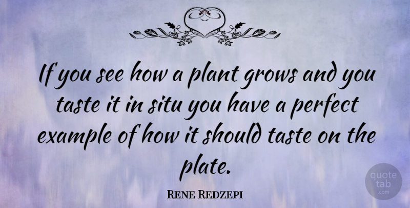 Rene Redzepi Quote About Perfect, Taste, Example: If You See How A...