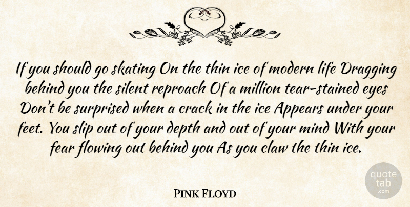 Pink Floyd Quote About Appears, Behind, Crack, Depth, Dragging: If You Should Go Skating...