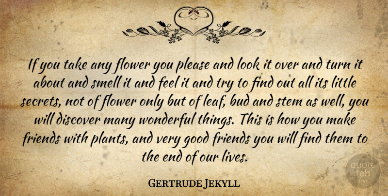 Gertrude Jekyll Quote About Flower, Good Friend, Smell: If You Take Any Flower...