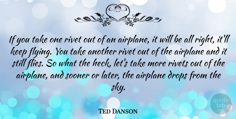 Ted Danson Quote About Airplane, Sky, Flying: If You Take One Rivet...
