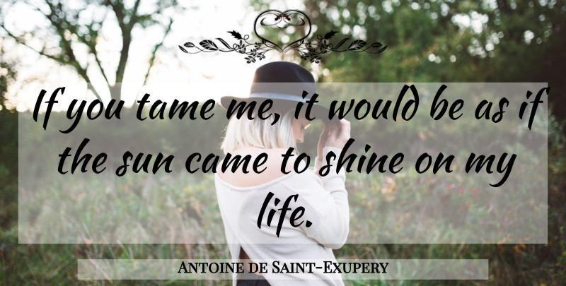 Antoine de Saint-Exupery Quote About Shine On, Wheat Fields, Shining: If You Tame Me It...