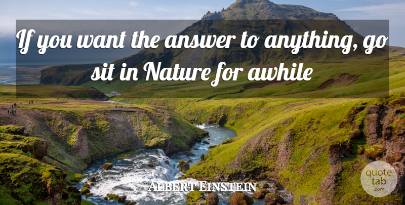 Albert Einstein Quote About Want, Anything Goes, Answers: If You Want The Answer...