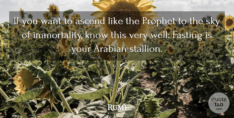 Rumi Quote About Sky, Want, Fasting: If You Want To Ascend...