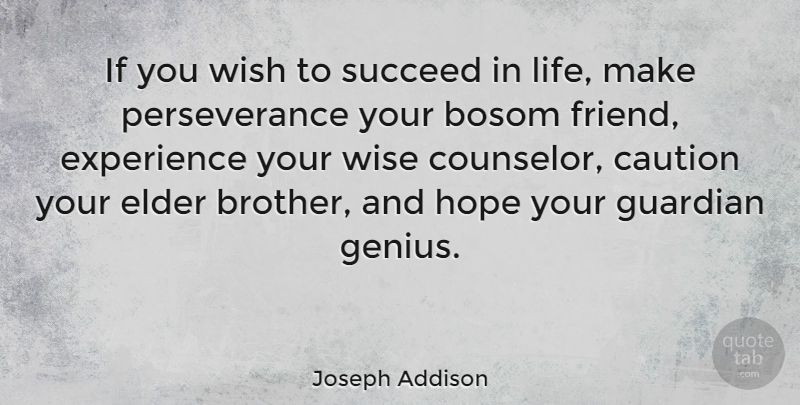 Joseph Addison Quote About Inspirational, Life, Success: If You Wish To Succeed...