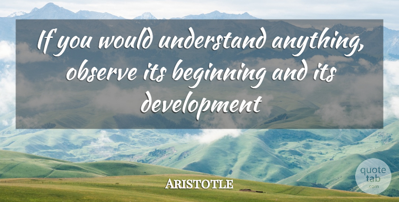 Aristotle Quote About History, Development, Ifs: If You Would Understand Anything...