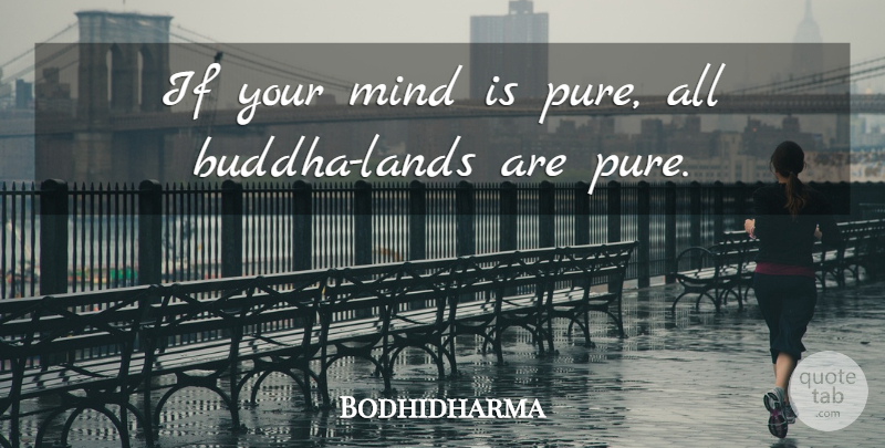 Bodhidharma Quote About Land, Mind, Pure: If Your Mind Is Pure...