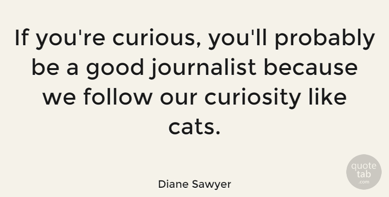 Diane Sawyer Quote About Cat, Curiosity, Curious: If Youre Curious Youll Probably...
