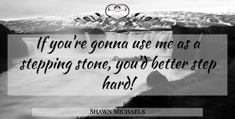 Shawn Michaels Quote About Wwe, Use, Stones: If Youre Gonna Use Me...