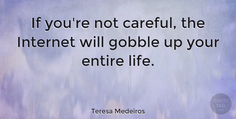 Teresa Medeiros Quote About Entire, Internet, Life: If Youre Not Careful The...