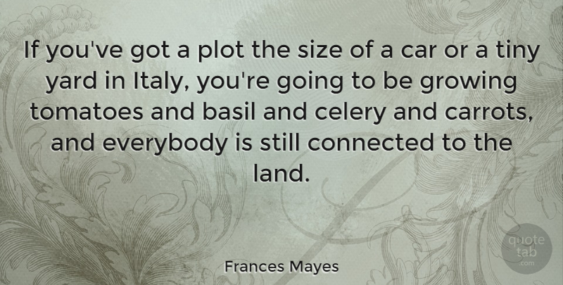 Frances Mayes Quote About Land, Car, Plot: If Youve Got A Plot...