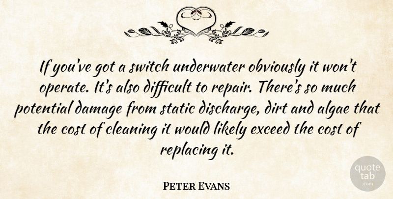 Peter Evans Quote About Cleaning, Cost, Damage, Difficult, Dirt: If Youve Got A Switch...