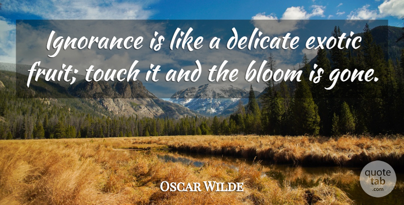 Oscar Wilde Quote About Ignorance, Upper Class, Gone: Ignorance Is Like A Delicate...