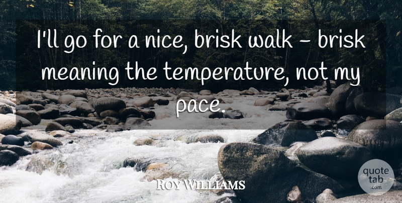 Roy Williams Quote About Meaning, Walk: Ill Go For A Nice...