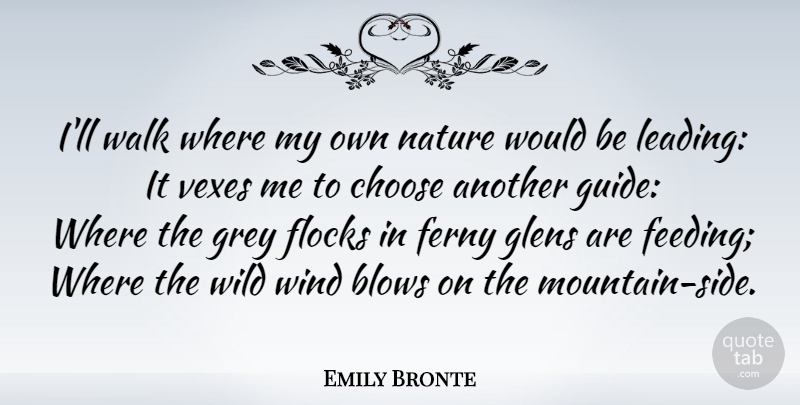 Emily Bronte Quote About Country, Blow, Wind: Ill Walk Where My Own...