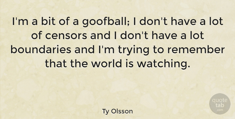 Ty Olsson Quote About Trying, World, Remember: Im A Bit Of A...