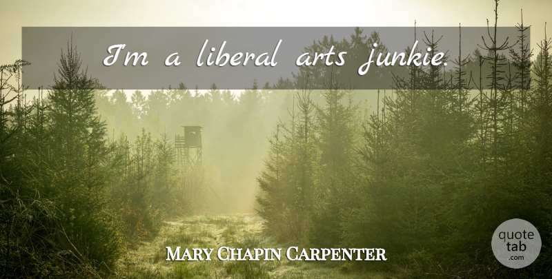 Mary Chapin Carpenter Quote About Art, Liberal Arts, Junkie: Im A Liberal Arts Junkie...