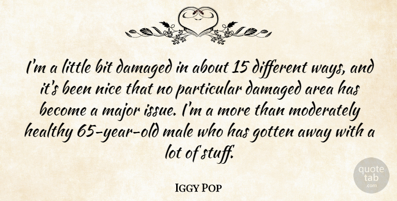Iggy Pop Quote About Nice, Years, Issues: Im A Little Bit Damaged...