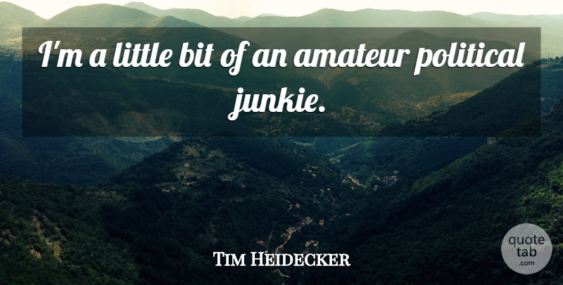 Tim Heidecker Quote About Political, Littles, Junkie: Im A Little Bit Of...