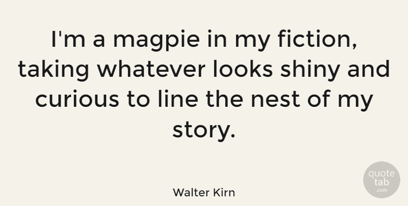 Walter Kirn Quote About Looks, Nest, Shiny, Taking, Whatever: Im A Magpie In My...