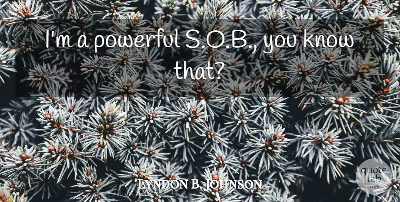 Lyndon B. Johnson Quote About Powerful, Political, Knows: Im A Powerful Sob You...