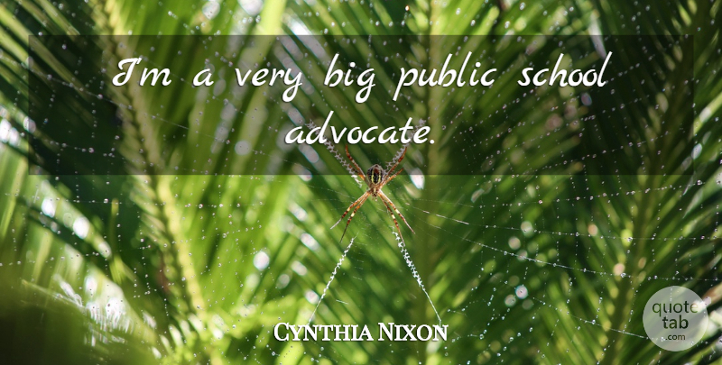 Cynthia Nixon Quote About School, Bigs, Public School: Im A Very Big Public...