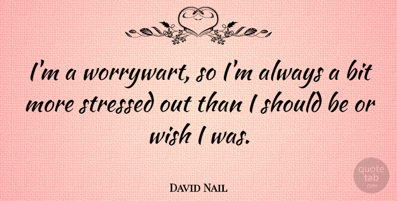 David Nail Quote About Stressed Out, Wish, Should: Im A Worrywart So Im...
