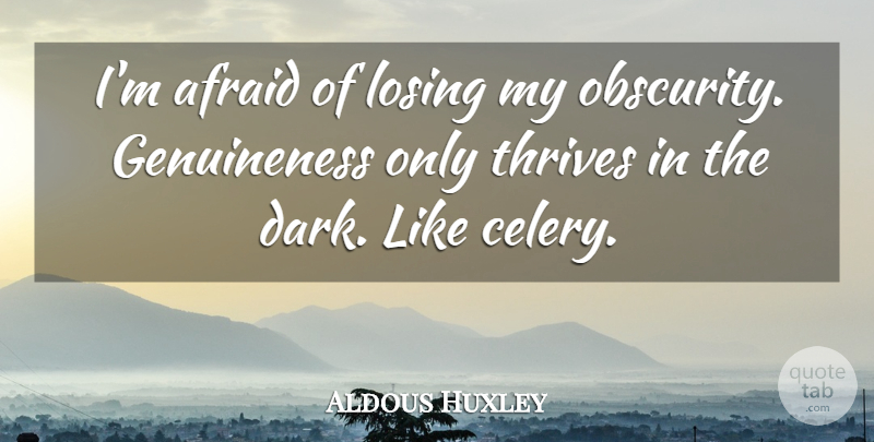 Aldous Huxley Quote About Sunset, Dark, Obscurity: Im Afraid Of Losing My...