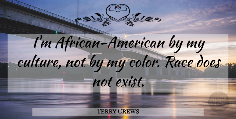Terry Crews Quote About Color, Race, African American: Im African American By My...