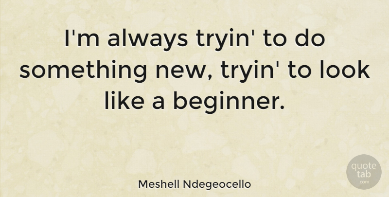 Meshell Ndegeocello Quote About Beginners, Looks, Something New: Im Always Tryin To Do...
